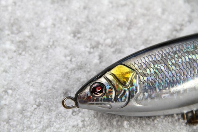 ダイソーの釣具おすすめ一覧 ルアー新作や釣りに使える道具は初心者必見 アリオ冨谷