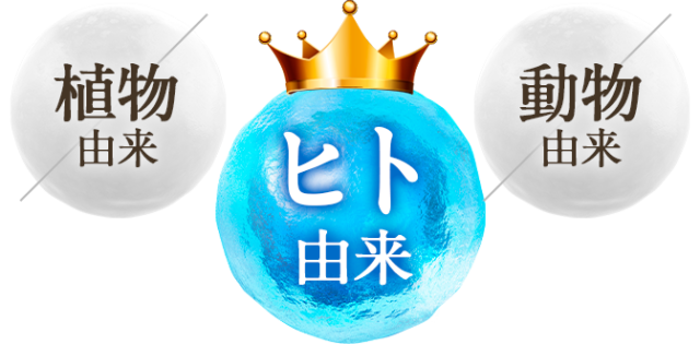 17skin,アイニードルクリーム,効果,