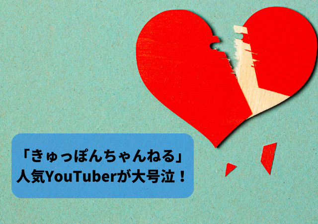 きゅっぽんちゃんねる,人気YouTube,大号泣