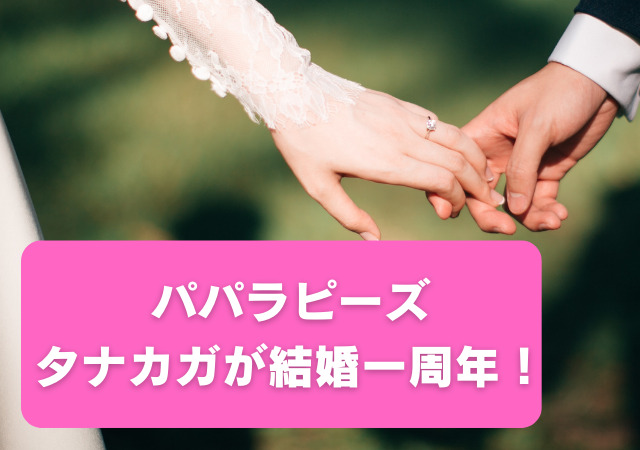 パパラピーズ,タナカガ,結婚